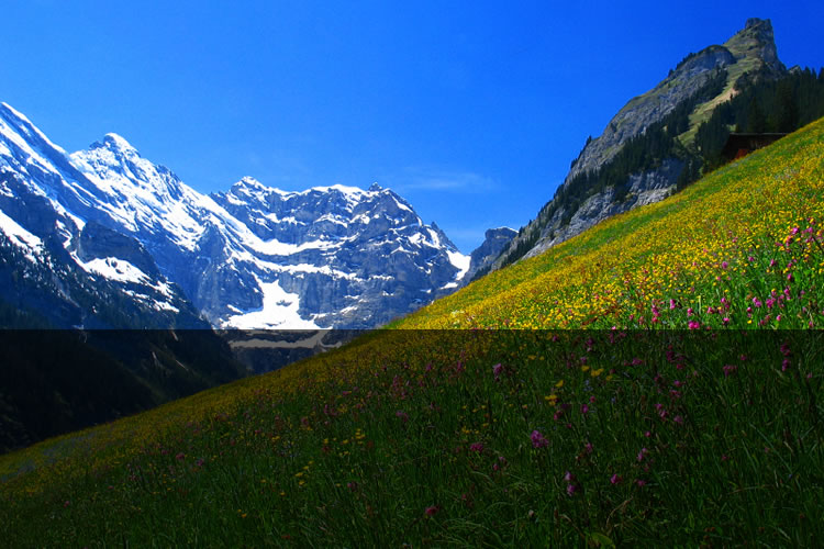 Ski Holiday - Fourth slide