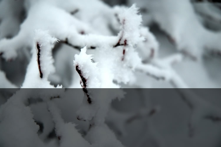 Ski Holiday - Second slide