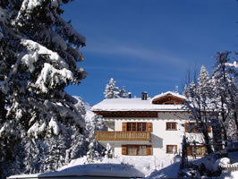 Ski-in ski-out chalets